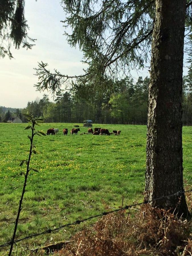 Auberge De Saint Julien Aux Bois エクステリア 写真